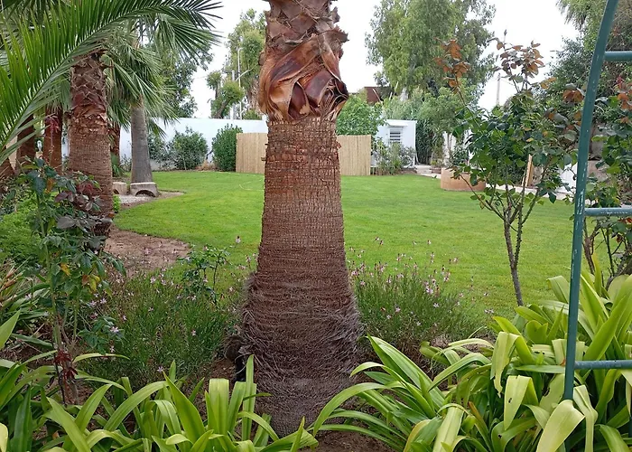 Au Bout Du Jardin